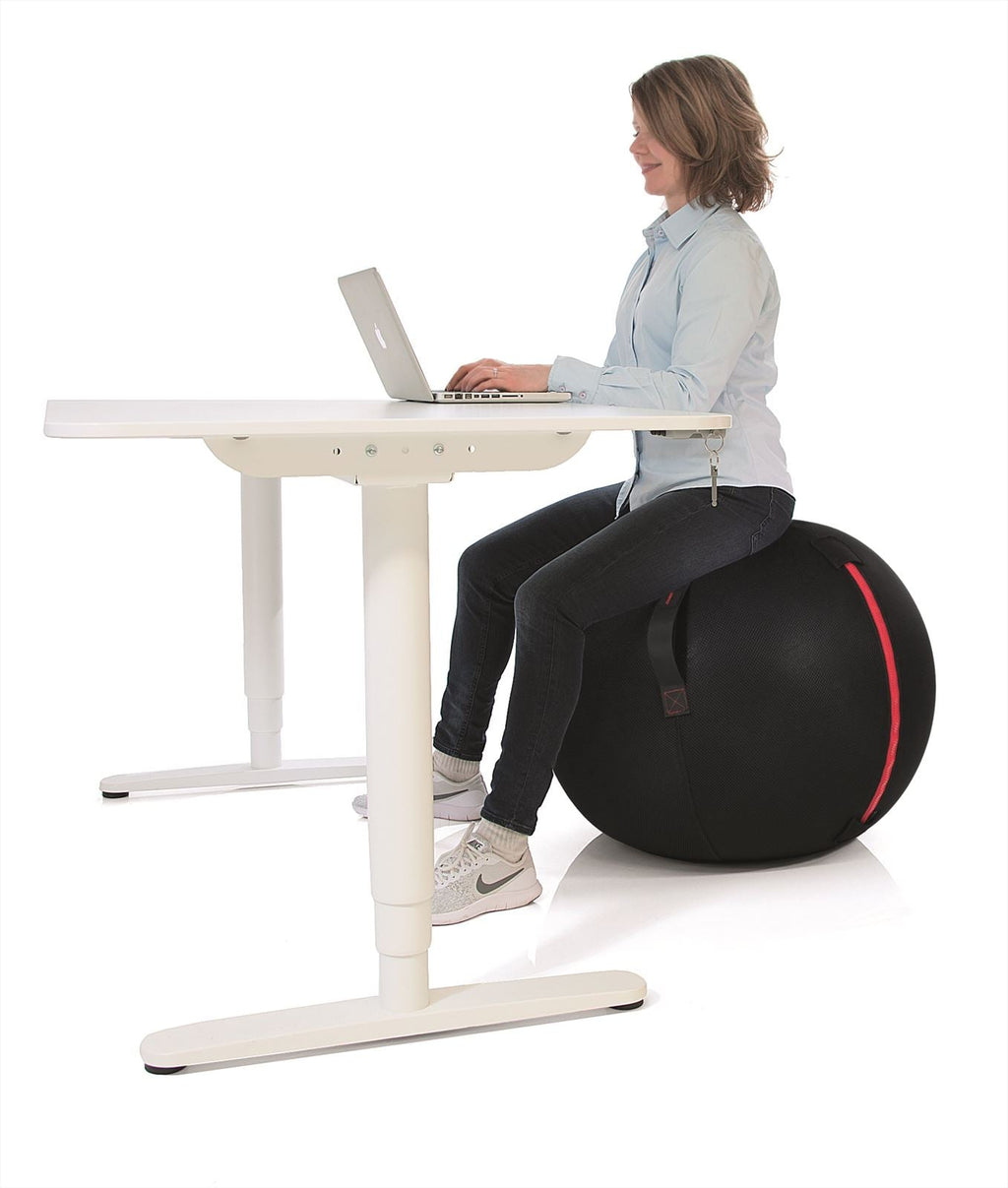 Gymstick Office Ball - 75 cm - Met Online Trainingsvideo's