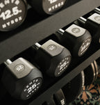 Centr x Hyrox Urethane Hexagon Dumbbell - 12,5 kg